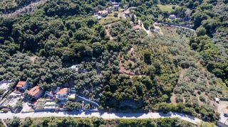 Οικόπεδο 4.000 τ.μ. για πώληση, Ν. Λάρισας, Μελίβοια-thumb-4