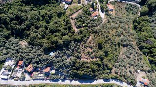 Οικόπεδο 4.000 τ.μ. για πώληση, Ν. Λάρισας, Μελίβοια-thumb-5