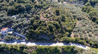 Οικόπεδο 4.000 τ.μ. για πώληση, Ν. Λάρισας, Μελίβοια-thumb-15
