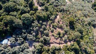 Οικόπεδο 4.000 τ.μ. για πώληση, Ν. Λάρισας, Μελίβοια-thumb-19
