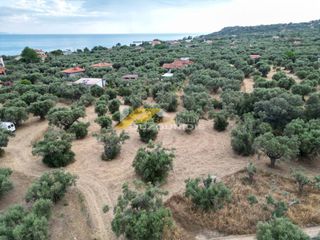 Αγροτεμάχια 1.100 τ.μ. για πώληση