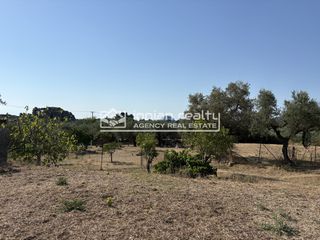 Οικόπεδο 3.985 τ.μ. για πώληση, Ζάκυνθος, Λαγανάς-thumb-12