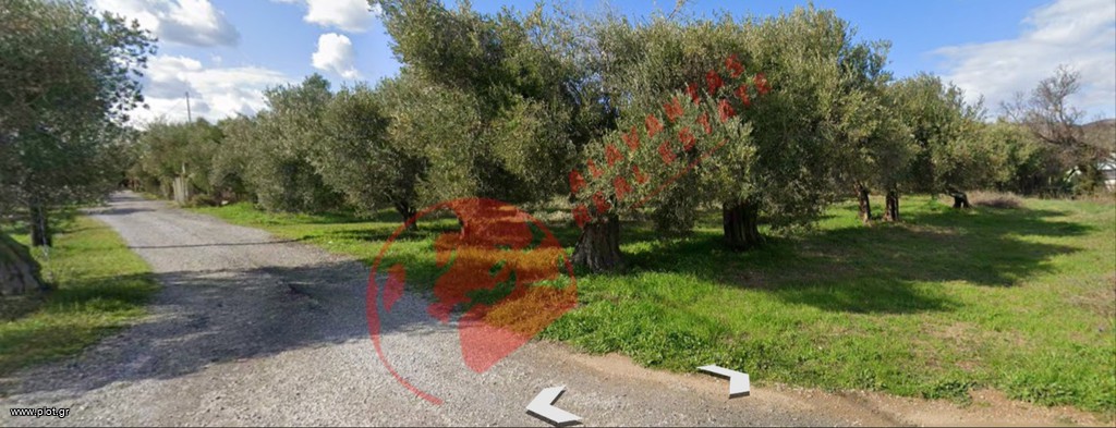 Αγροτεμάχια 2.839 τ.μ. πρός πώληση, Εβρος, Αλεξανδρούπολη
