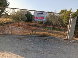 Οικόπεδο 2.000 τ.μ. προς πώληση, Ριζόμυλος Κάρλας-thumb-7