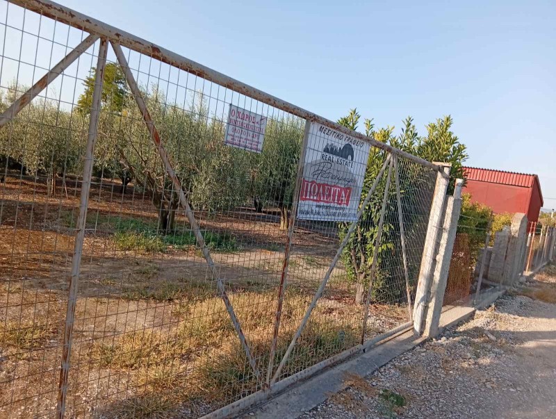 Οικόπεδο 2.000 τ.μ. πρός πώληση, Μαγνησία, Κάρλα
