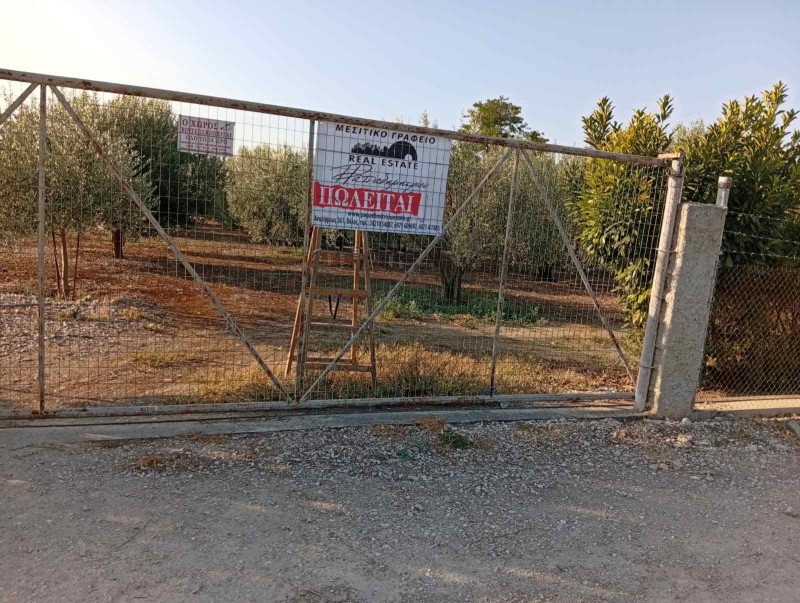 Οικόπεδο 2.000 τ.μ. πρός πώληση, Μαγνησία, Κάρλα