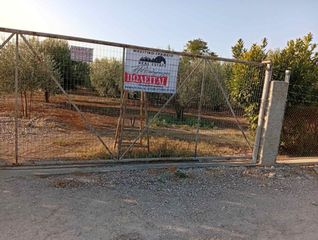Οικόπεδο 2.000 τ.μ. προς πώληση, Ριζόμυλος Κάρλας-thumb-1