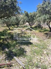 Αγροτεμάχια 10.000 τ.μ. για πώληση