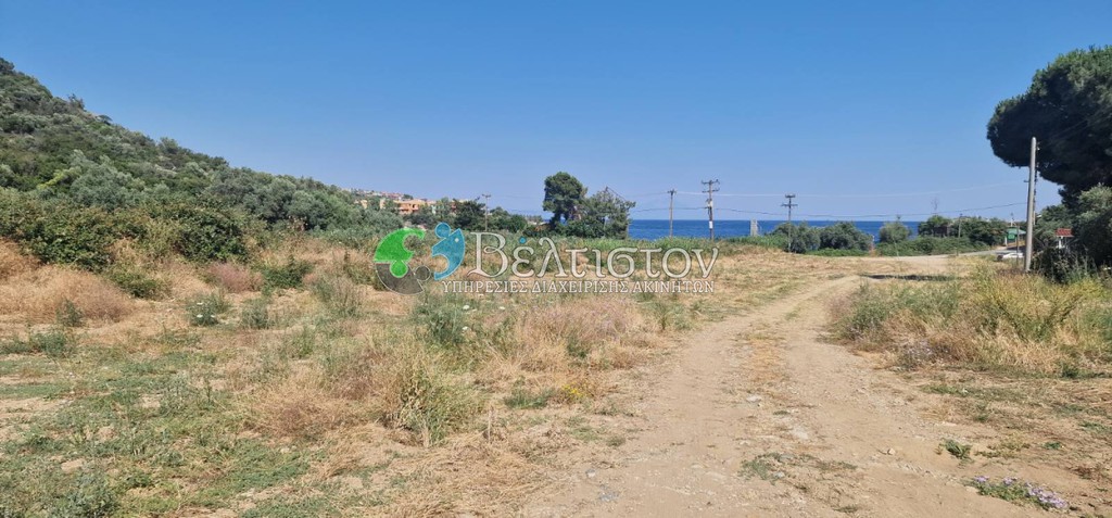 Αγροτεμάχια 5.600 τ.μ. πρός πώληση, Χαλκιδική, Παναγιά