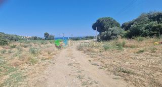 Αγροτεμάχια 5.600 τ.μ. για πώληση