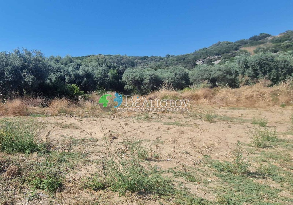 Αγροτεμάχια 5.600 τ.μ. πρός πώληση, Χαλκιδική, Παναγιά