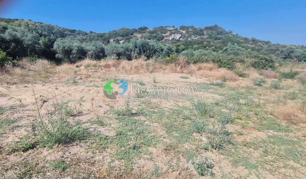Αγροτεμάχια 5.600 τ.μ. πρός πώληση, Χαλκιδική, Παναγιά