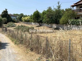 Αγροτεμάχια 330 τ.μ. για πώληση