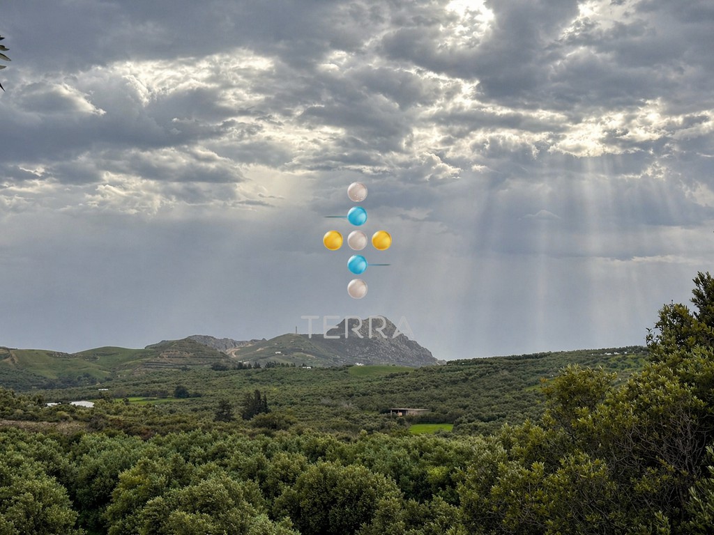 Αγροτεμάχια 4.000 τ.μ. πρός πώληση, Ν. Ρεθύμνου, Φοινίκας
