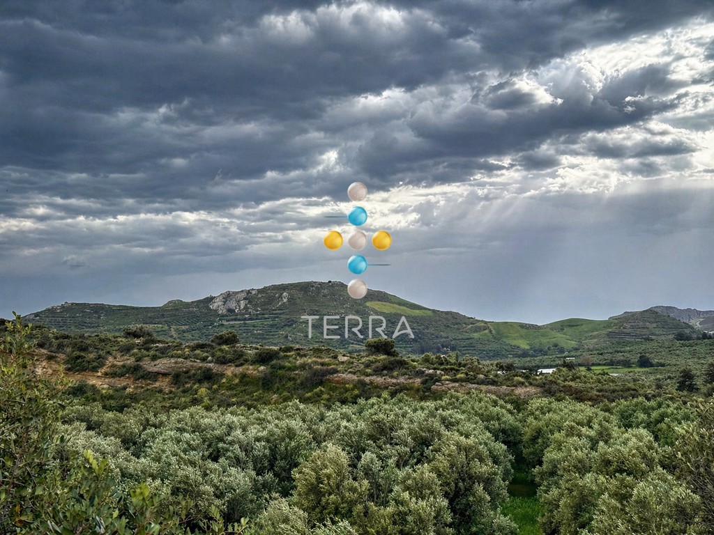 Αγροτεμάχια 4.000 τ.μ. πρός πώληση, Ν. Ρεθύμνου, Φοινίκας