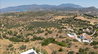 Αγροτεμάχια 11.526 τ.μ. για πώληση, Αργολίδα, Κρανίδι-thumb-5