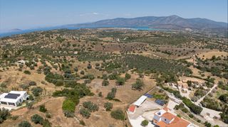 Αγροτεμάχια 11.526 τ.μ. για πώληση, Αργολίδα, Κρανίδι-thumb-7