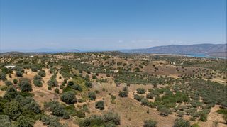 Αγροτεμάχια 11.526 τ.μ. για πώληση, Αργολίδα, Κρανίδι-thumb-6