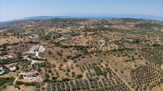 Αγροτεμάχια 11.526 τ.μ. για πώληση, Αργολίδα, Κρανίδι-thumb-8