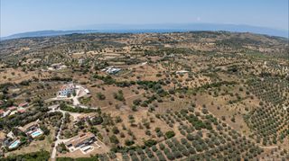 Αγροτεμάχια 11.526 τ.μ. για πώληση, Αργολίδα, Κρανίδι-thumb-12