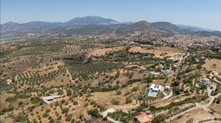 Αγροτεμάχια 11.526 τ.μ. για πώληση, Αργολίδα, Κρανίδι-thumb-20