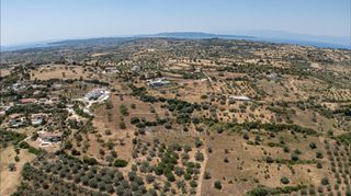 Αγροτεμάχια 11.526 τ.μ. για πώληση, Αργολίδα, Κρανίδι-thumb-13