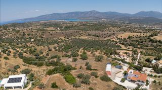 Αγροτεμάχια 11.526 τ.μ. για πώληση
