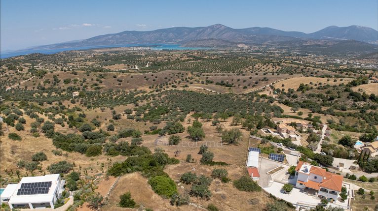 Αγροτεμάχια 11.526 τ.μ. για πώληση, Αργολίδα, Κρανίδι