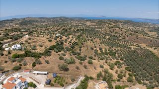 Αγροτεμάχια 11.526 τ.μ. για πώληση, Αργολίδα, Κρανίδι-thumb-9
