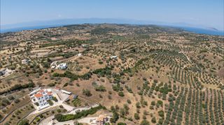 Αγροτεμάχια 11.526 τ.μ. για πώληση, Αργολίδα, Κρανίδι-thumb-11