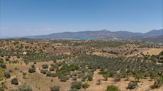 Αγροτεμάχια 11.526 τ.μ. για πώληση, Αργολίδα, Κρανίδι-thumb-4