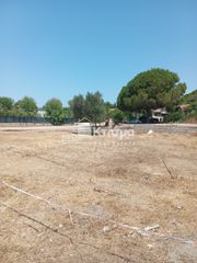 Αγροτεμάχια 684 τ.μ. για πώληση