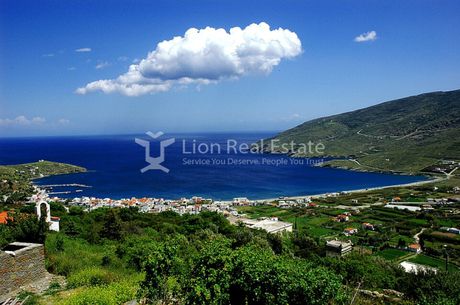 Αγροτεμάχια 9.500 τ.μ. προς πώληση