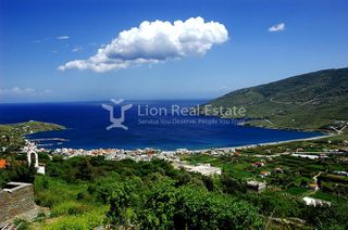 Αγροτεμάχια 9.500 τ.μ. για πώληση