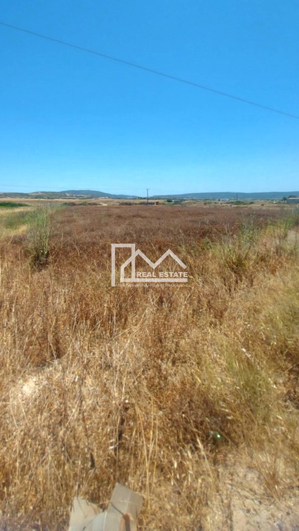 Οικόπεδο 2.560 τ.μ. πρός πώληση, Δωδεκάνησα, Ρόδος