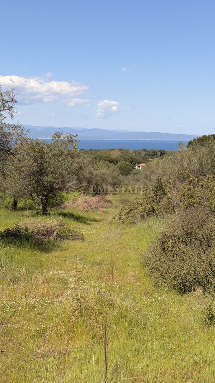 Αγροτεμάχια 13.500 τ.μ. πρός πώληση, Χαλκιδική, Σιθωνία