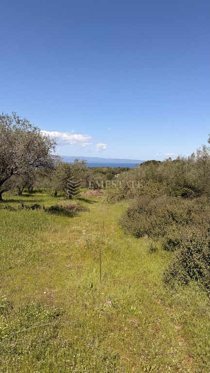Αγροτεμάχια 13.500 τ.μ. πρός πώληση, Χαλκιδική, Σιθωνία