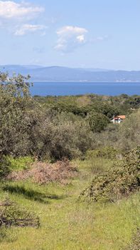 Αγροτεμάχια 13.500 τ.μ. πρός πώληση
