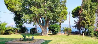 Διαμέρισμα 75 τ.μ. για ενοικίαση