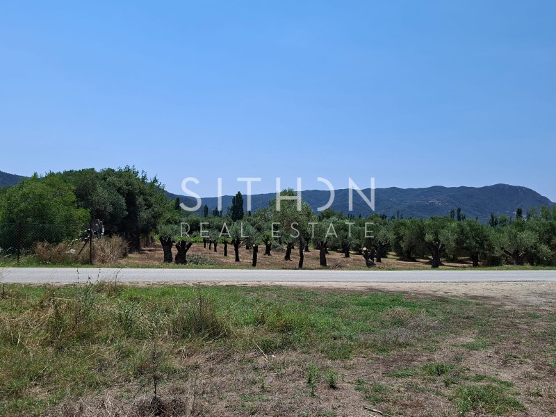 Αγροτεμάχια 1.502 τ.μ. προς πώληση, Συκιά Τορώνης
