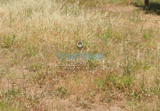 Οικόπεδο 555 τ.μ. προς πώληση, Σαρωνίδα Αττικής-thumb-9