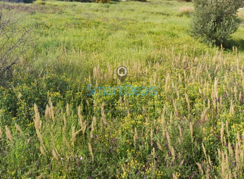 Οικόπεδο 555 τ.μ. πρός πώληση, Αττική - Υπόλοιπο, Σαρωνίδα