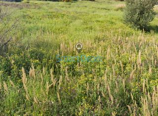 Οικόπεδο 555 τ.μ. προς πώληση, Σαρωνίδα Αττικής-thumb-4