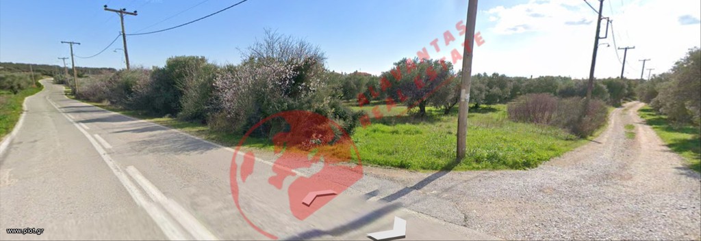 Αγροτεμάχια 6.694 τ.μ. πρός πώληση, Εβρος, Αλεξανδρούπολη