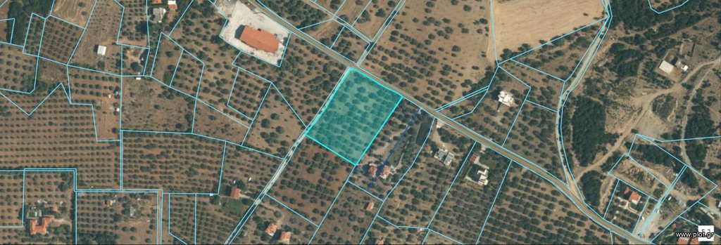 Αγροτεμάχια 6.694 τ.μ. πρός πώληση, Εβρος, Αλεξανδρούπολη