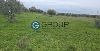 Αγροτεμάχια 850 τ.μ. για πώληση