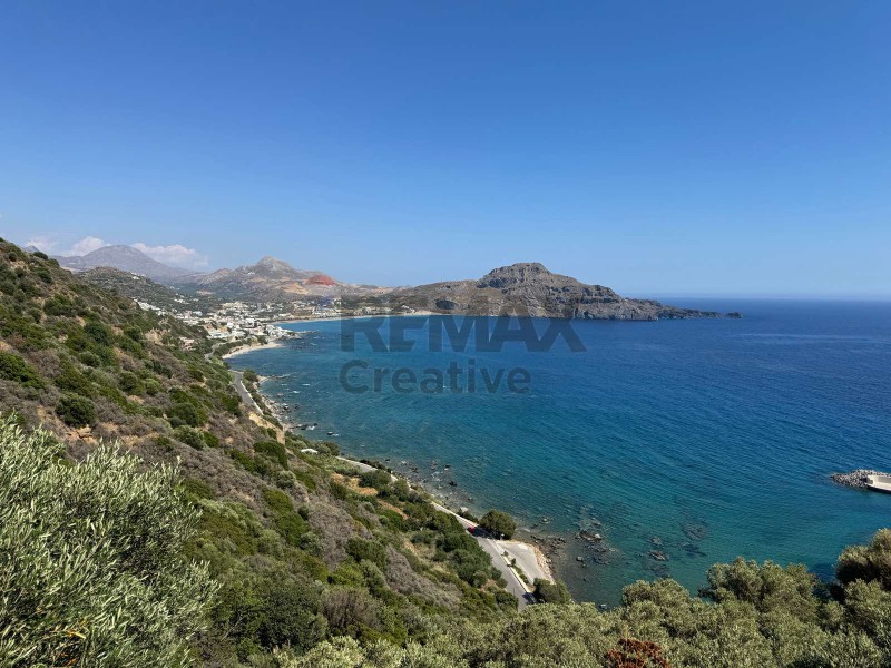 Αγροτεμάχια 4.045,03 τ.μ. πρός πώληση, Ν. Ρεθύμνου, Φοινίκας