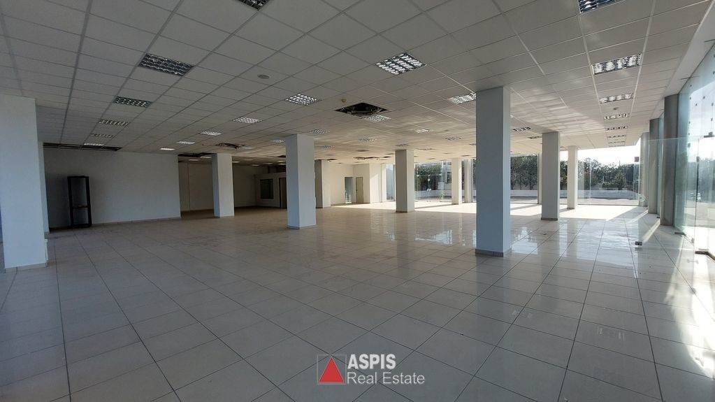 Κατάστημα 1.100 τ.μ. προς ενοικίαση, Κίτσι