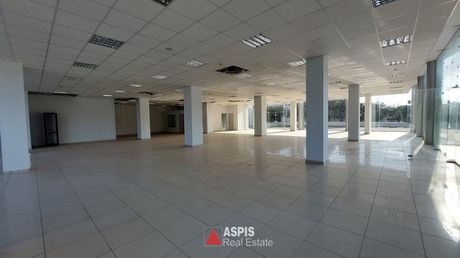 Κατάστημα 1.100 τ.μ. προς ενοικίαση