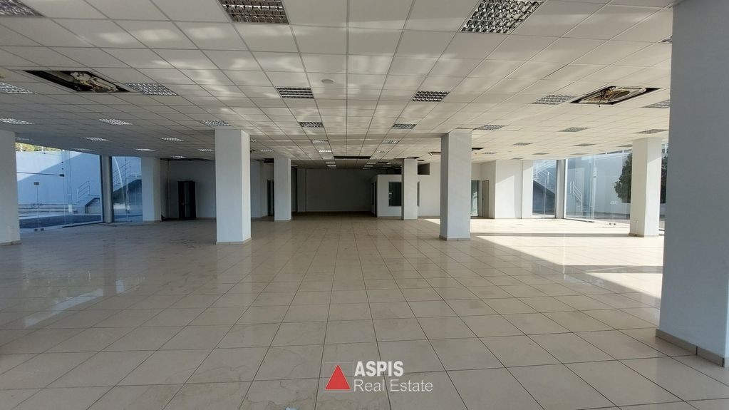 Κατάστημα 1.100 τ.μ. προς ενοικίαση, Κίτσι